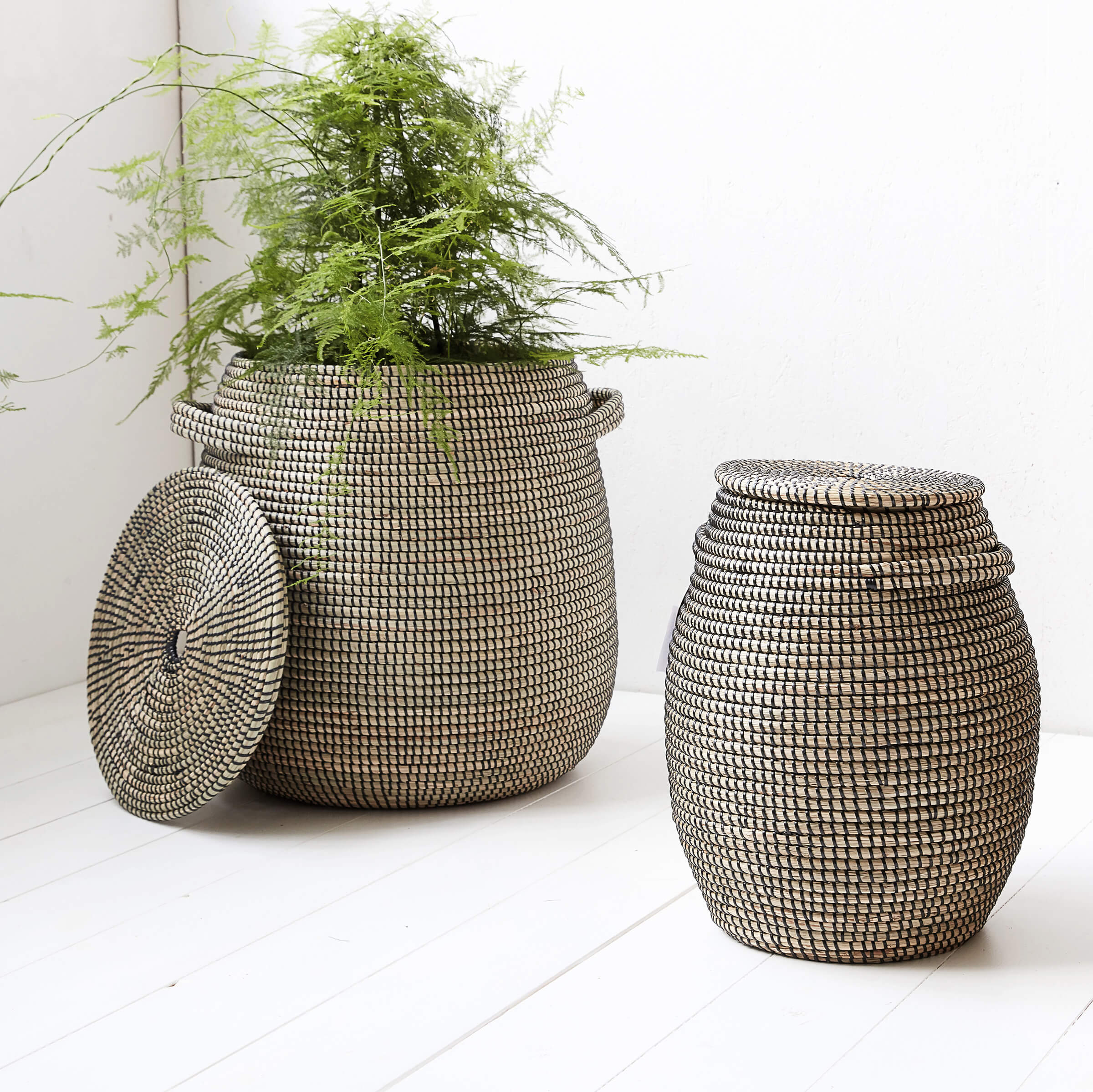 Baskets & Boxes - WOO .Design