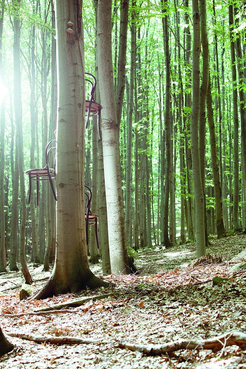 14 Cane/Mesh Chair - WOO .Design