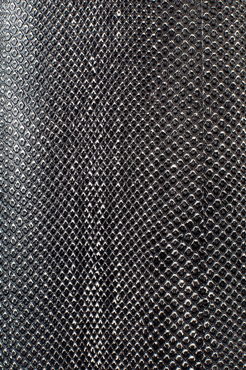 Ava Morgana Snake Cabinet