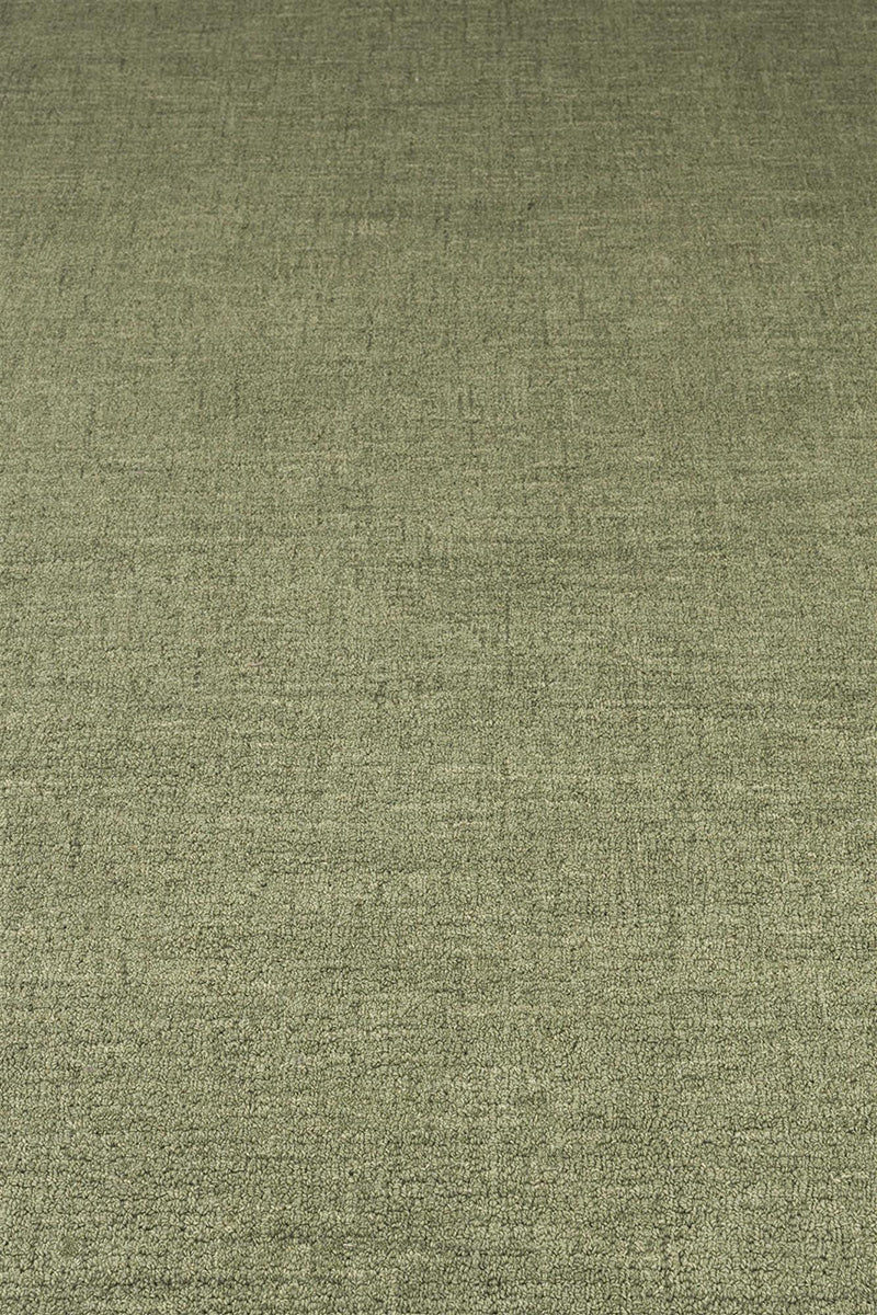 Sugar Lines Carpet