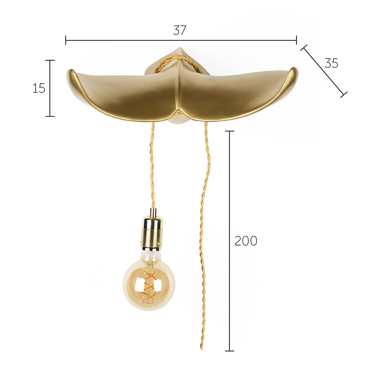 The Tail Will Follow Wall Lamp
