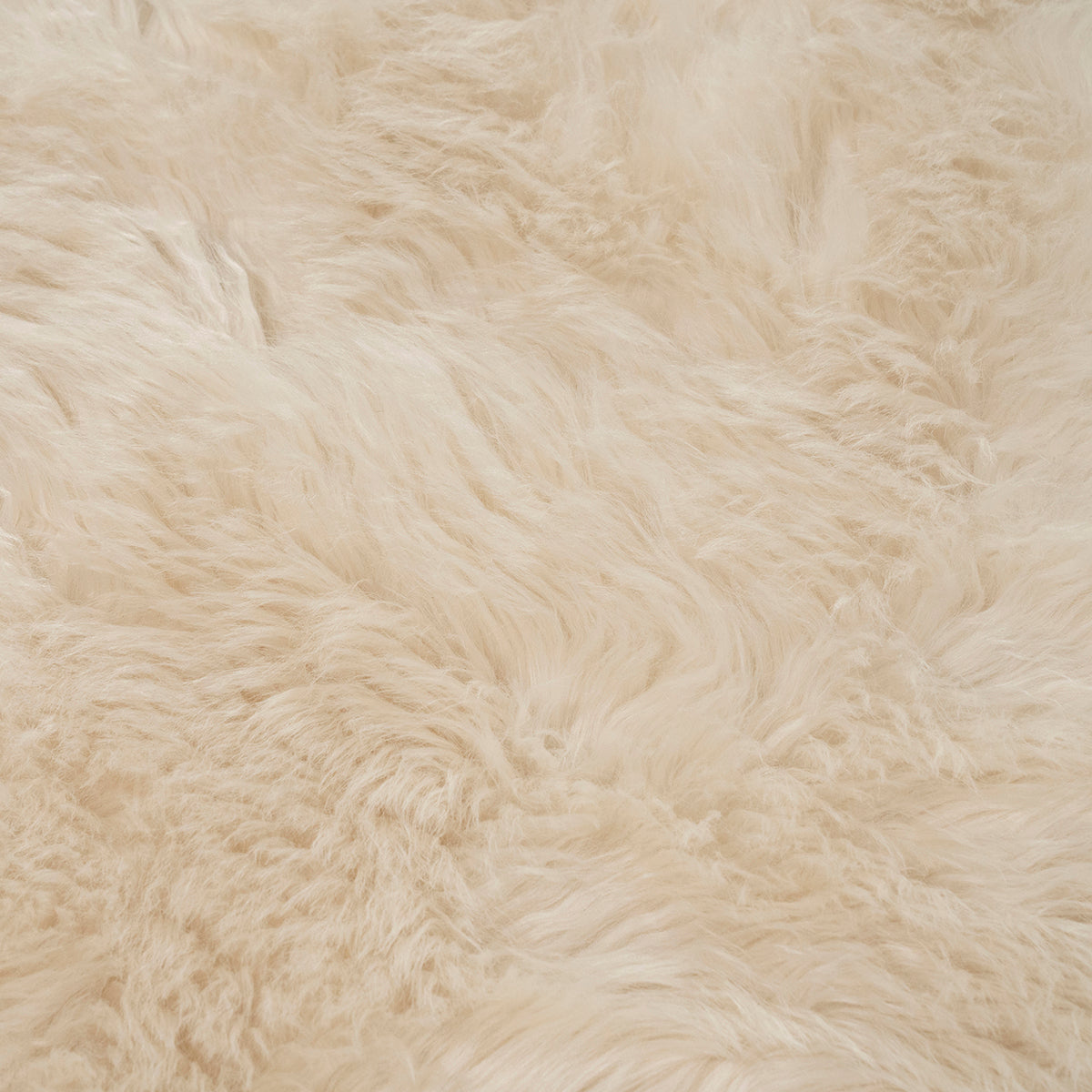 Laska Carpet