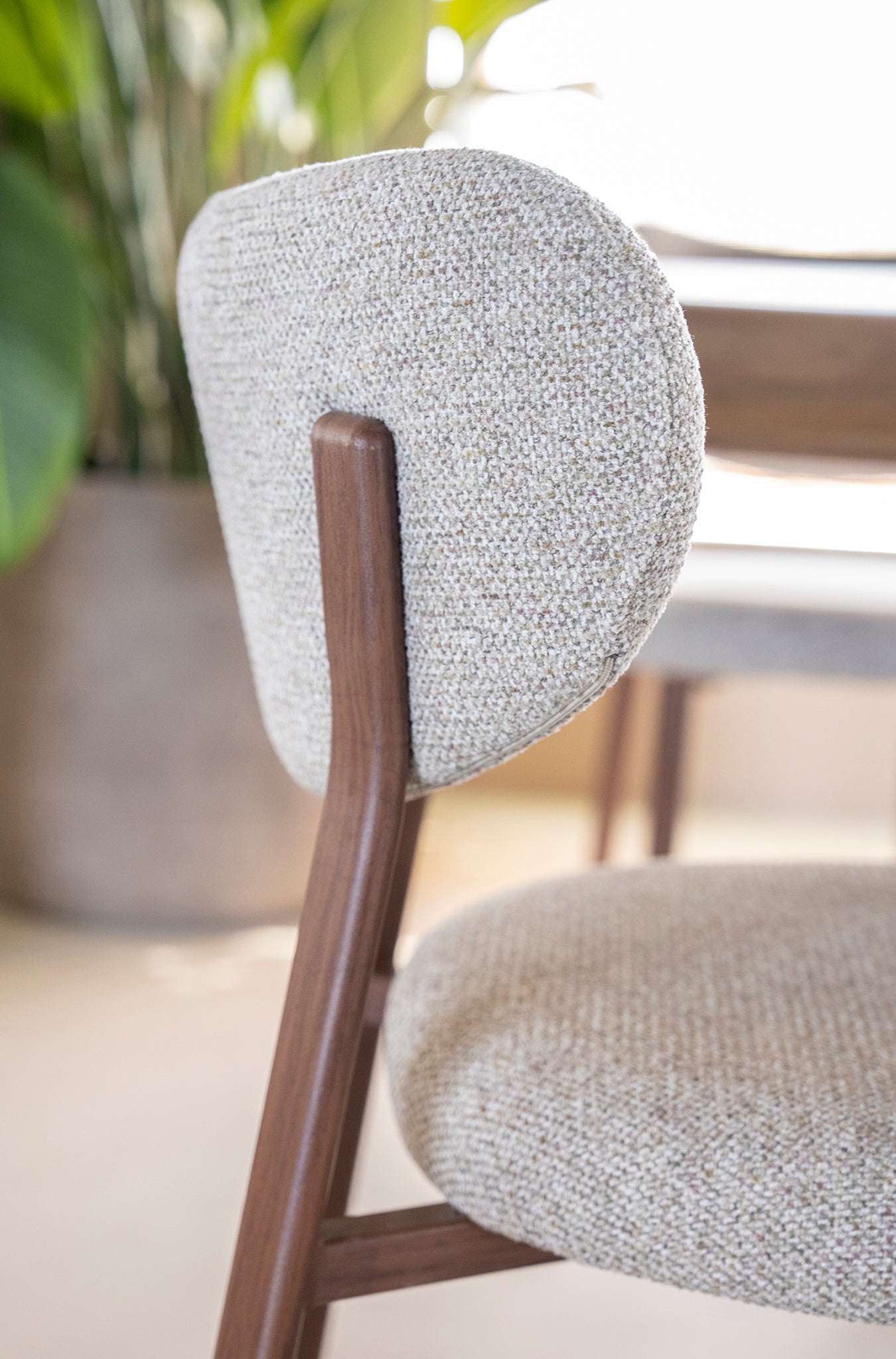 Sedia Luce Chair