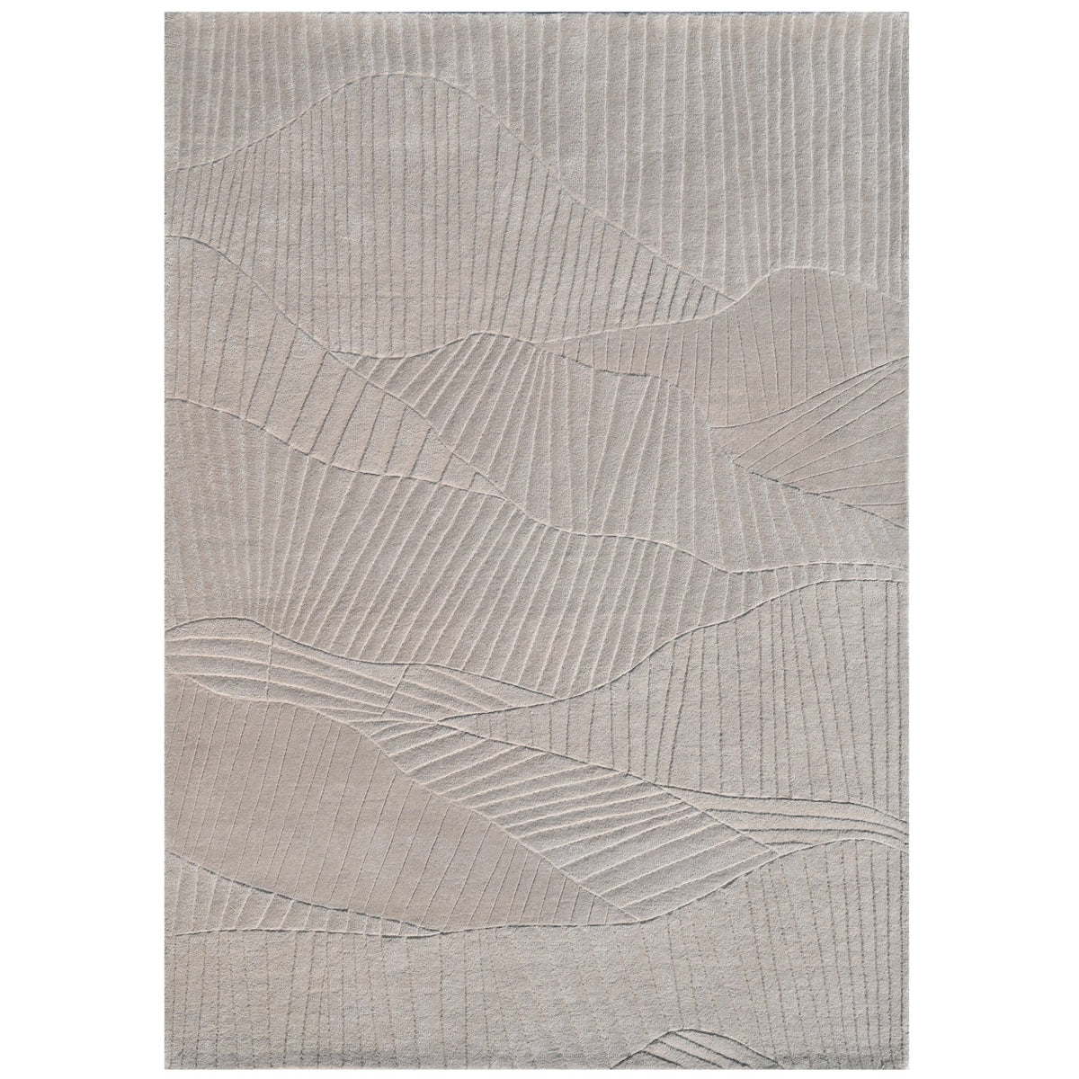 Aris Carpet