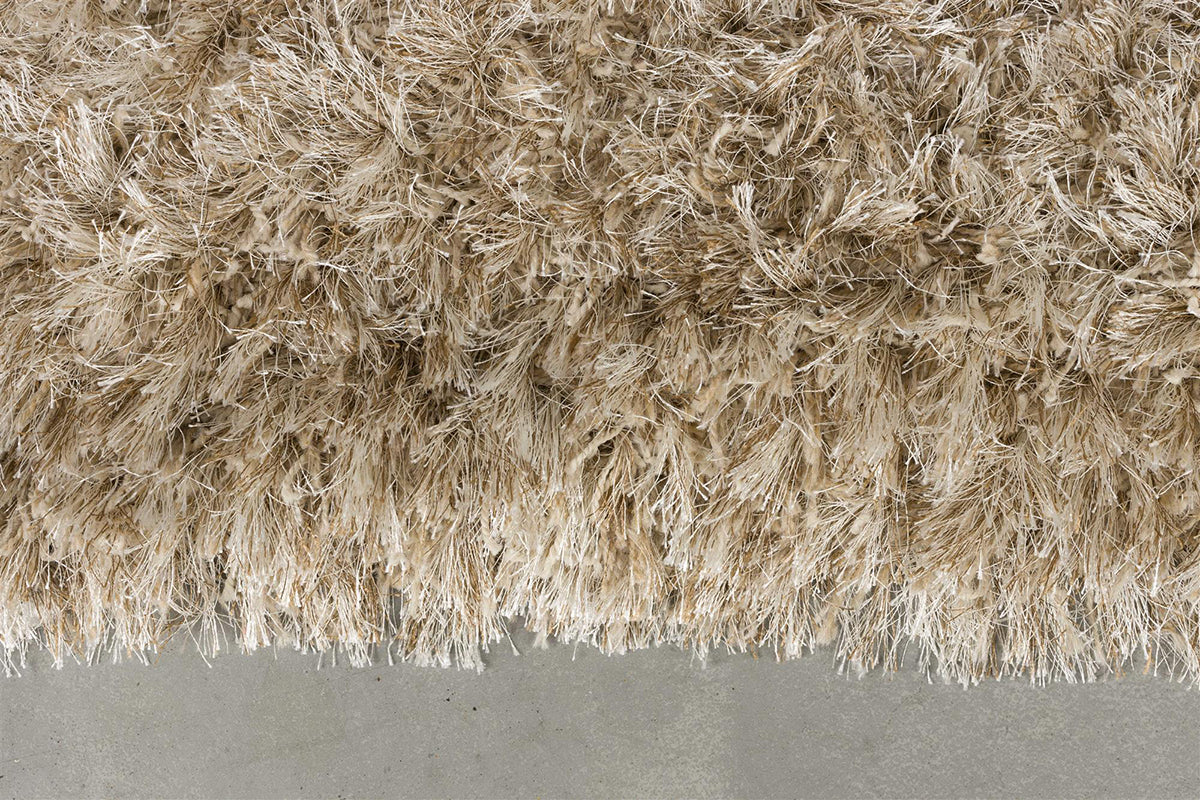 Hairy Carpet