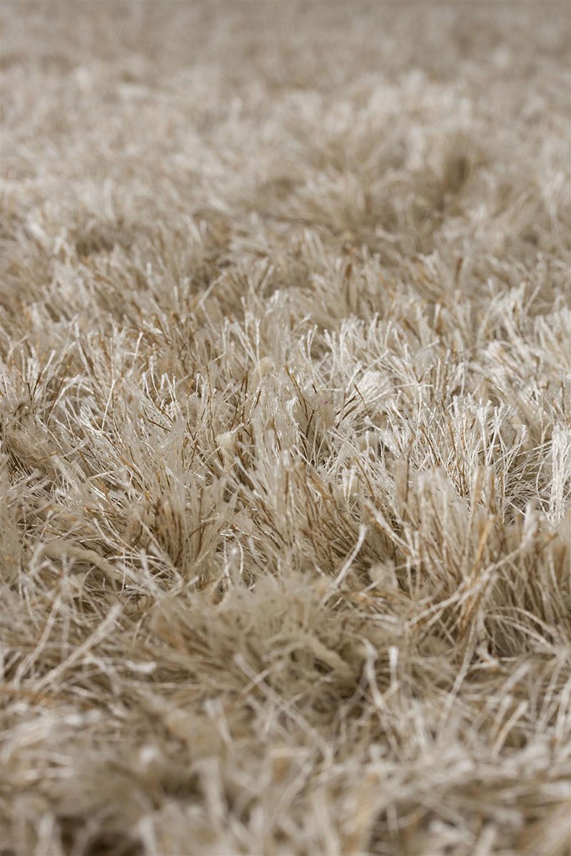 Hairy Carpet