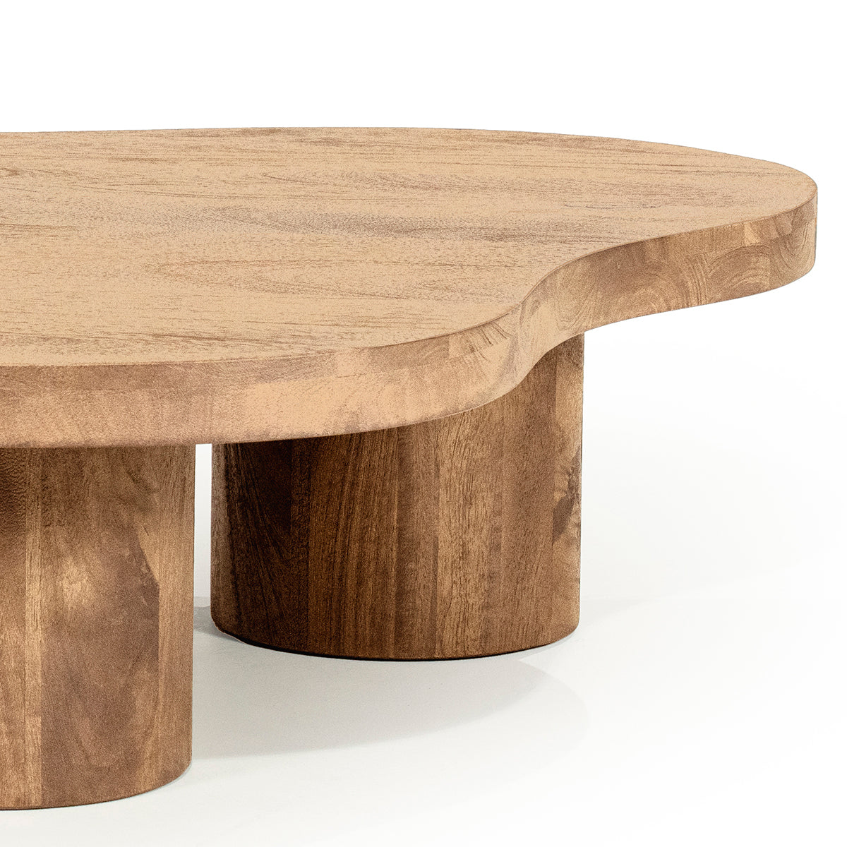 Charlie Mango Wood Coffee Table