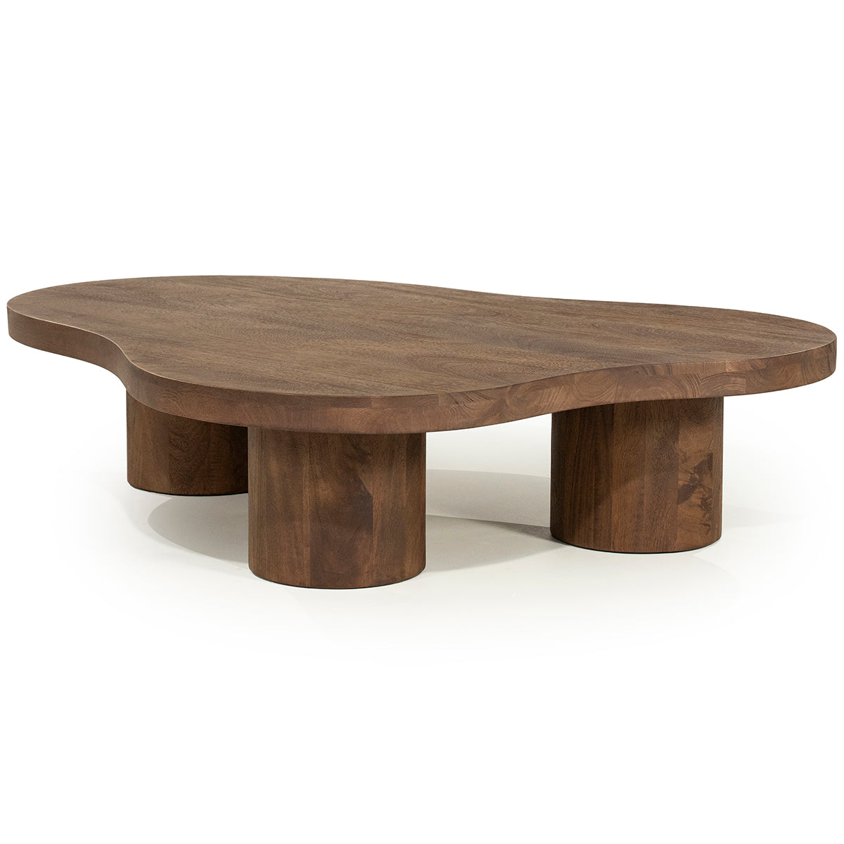 Charlie Mango Wood Coffee Table