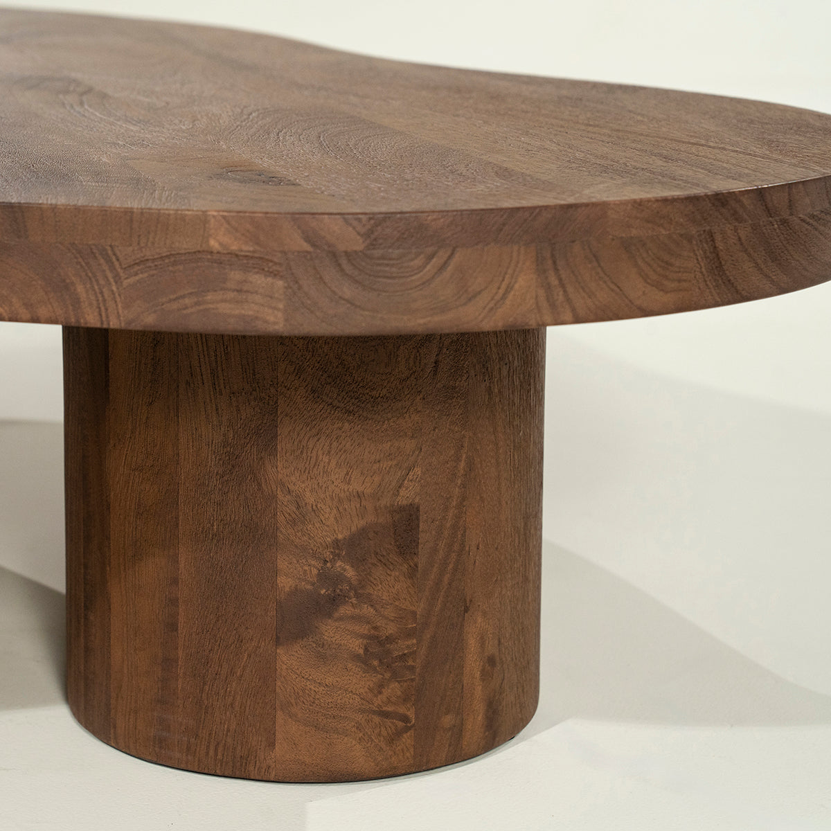 Charlie Mango Wood Coffee Table