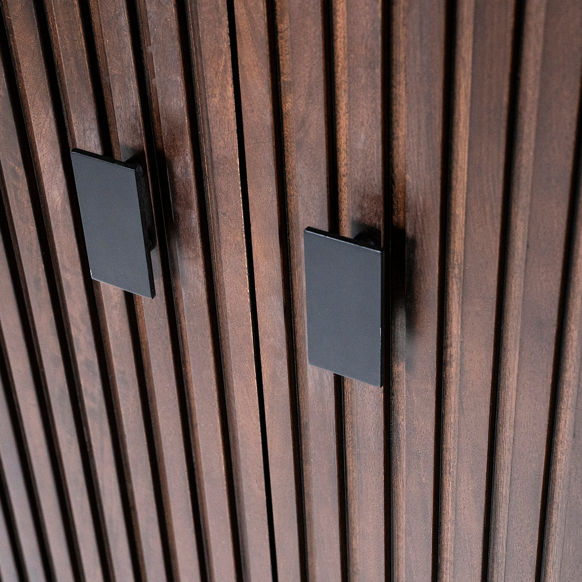 Remi 2 Doors Cabinet