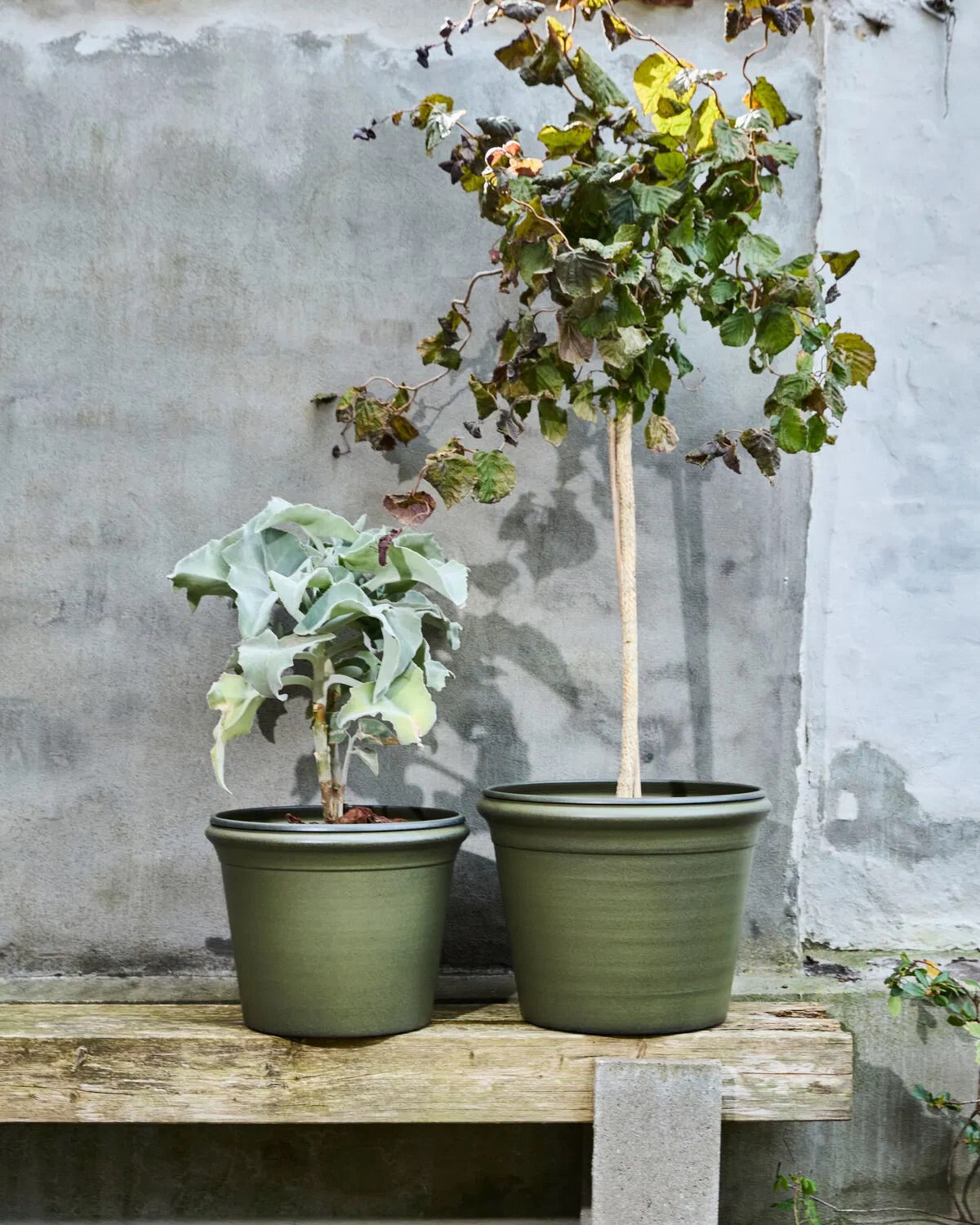 Ivy Green Planter (2/Set)