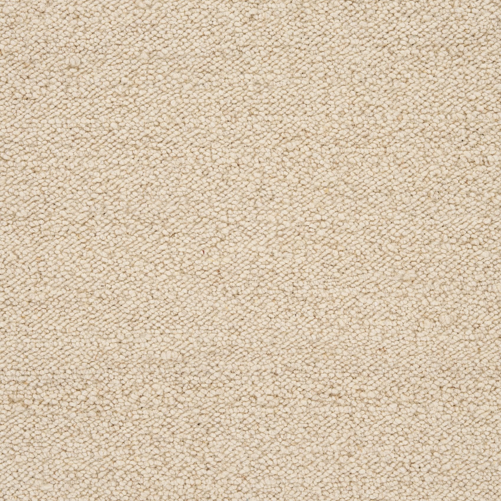 Bela Rug