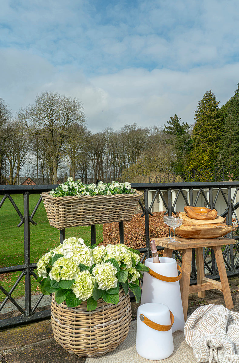 Bristol LED Wine Cooler - WOO .Design