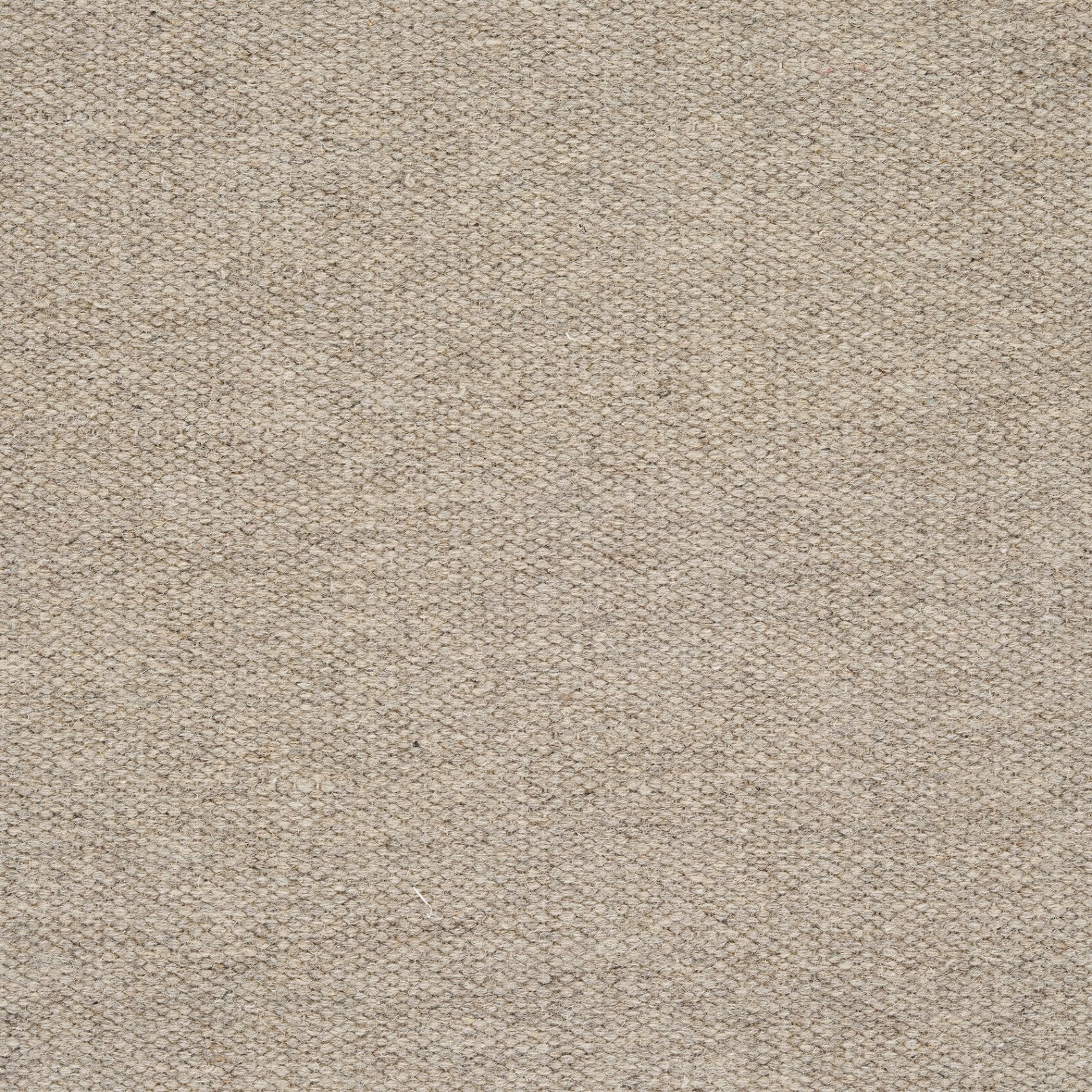 Nila Rug
