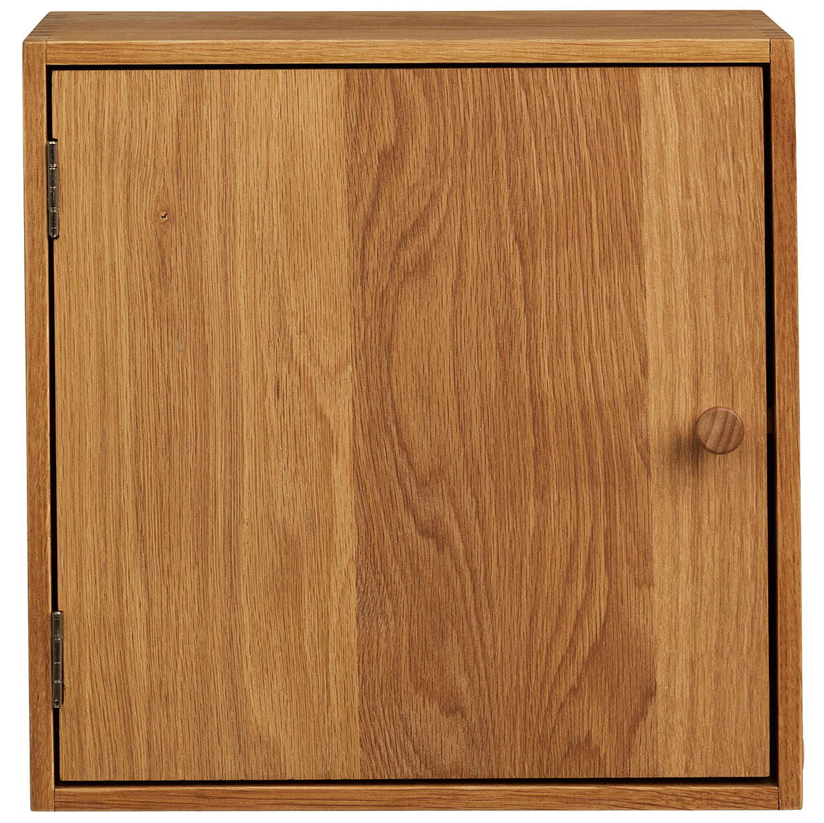 Townsville Oak Wood Wall Shelf with Door