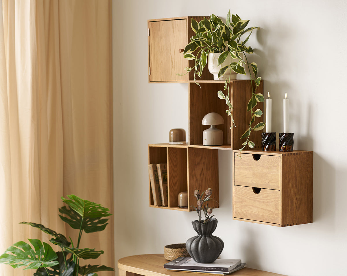 Townsville Oak Wood Wall Shelf with Door