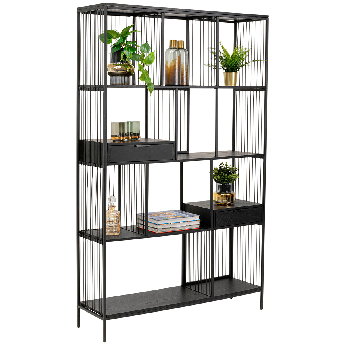 Bologna Shelf
