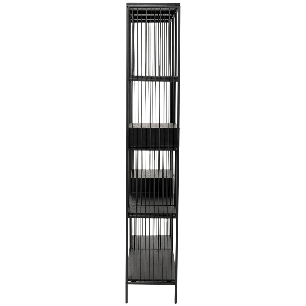Bologna Shelf