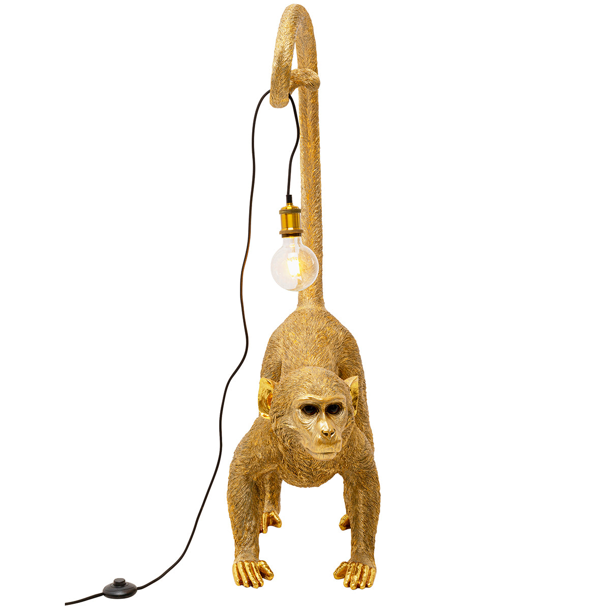 Monkey Dance Ground Light