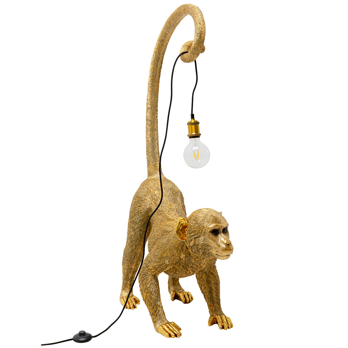 Monkey Dance Ground Light
