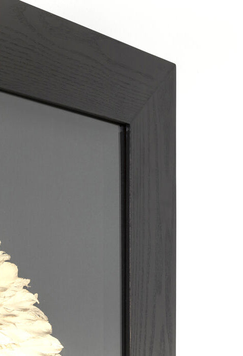 Golden Snail Deco Frame