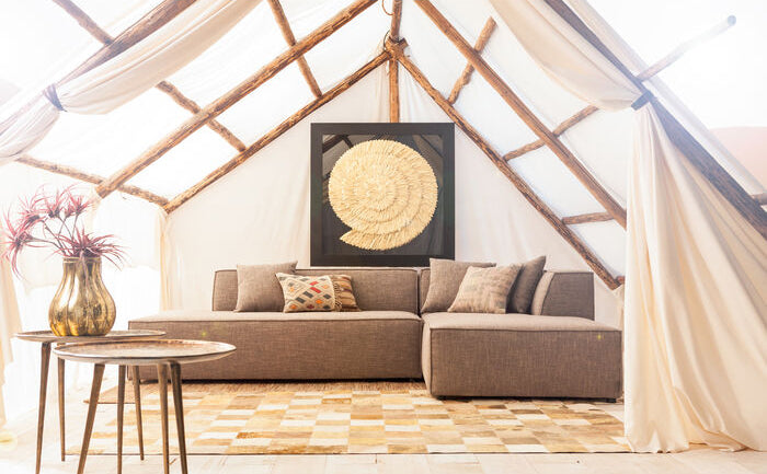 Golden Snail Deco Frame