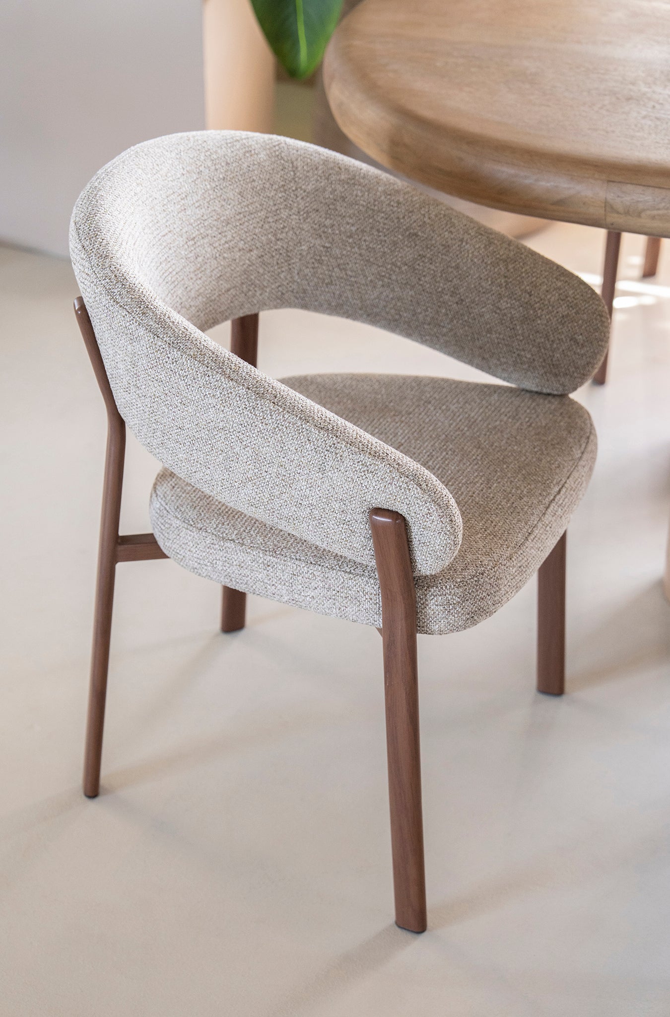 Sedia Luce Chair with Armrest