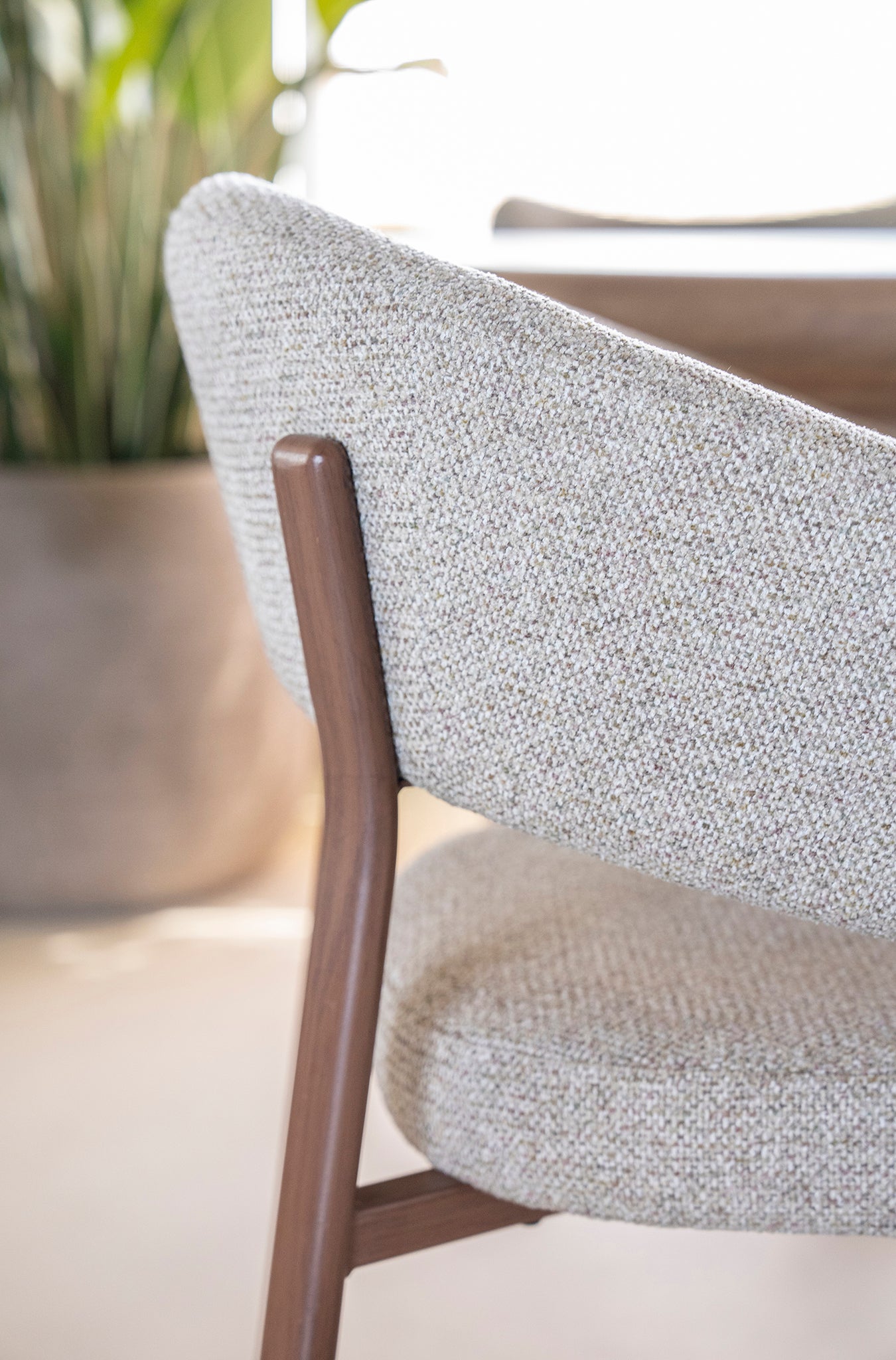 Sedia Luce Chair with Armrest