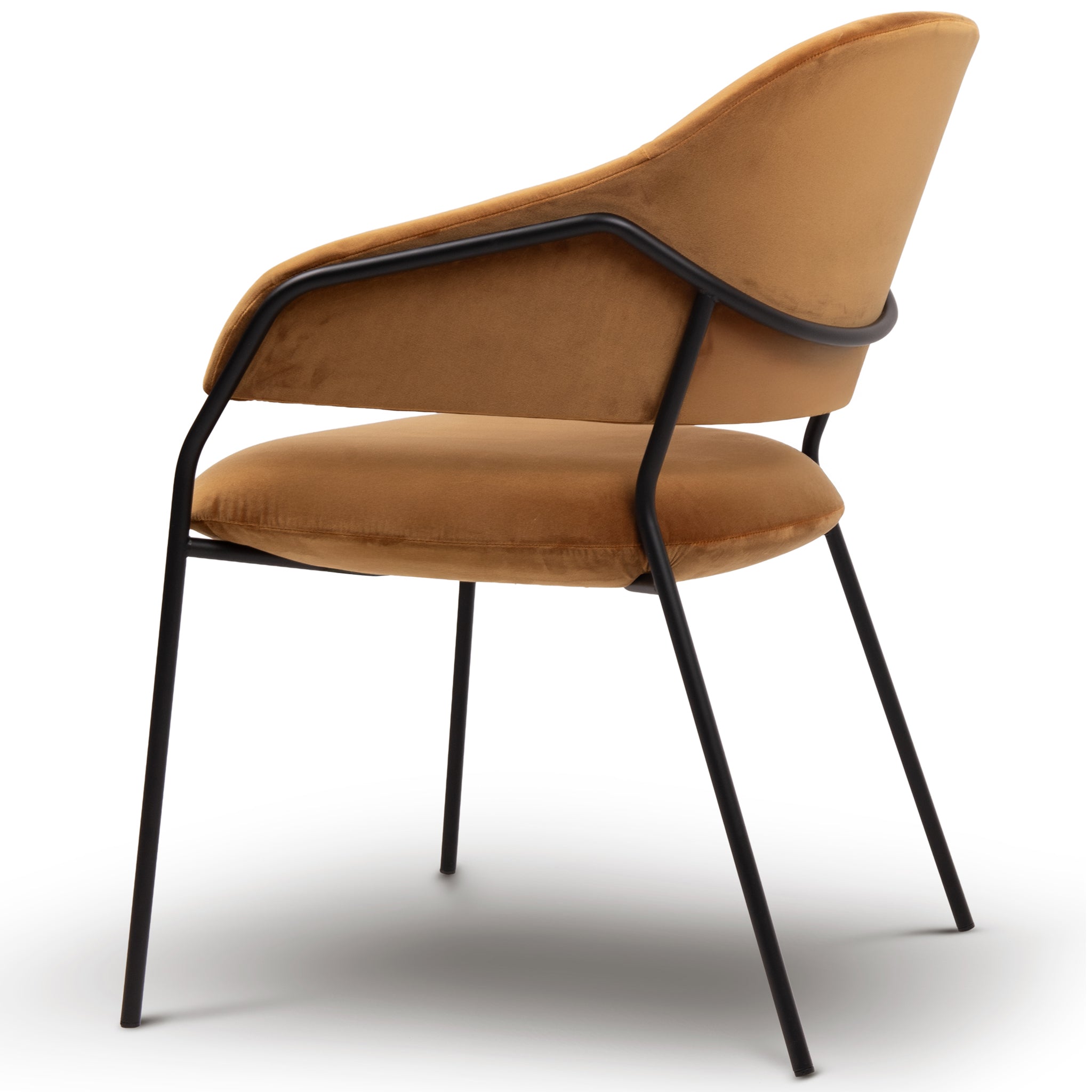 Elo Chair
