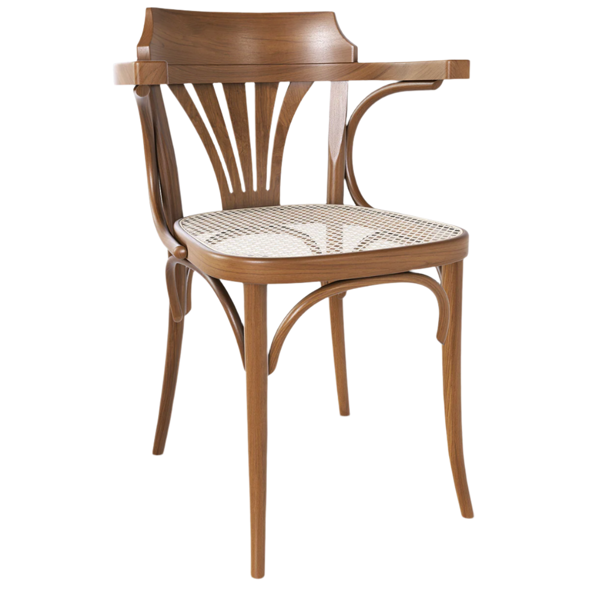 24 Cane/Mesh Armchair