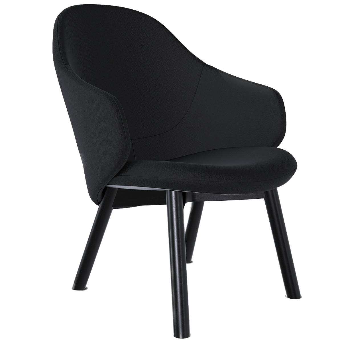 Albu Lounge Armchair