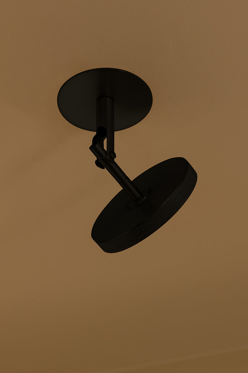 Asteria Spot Lamp