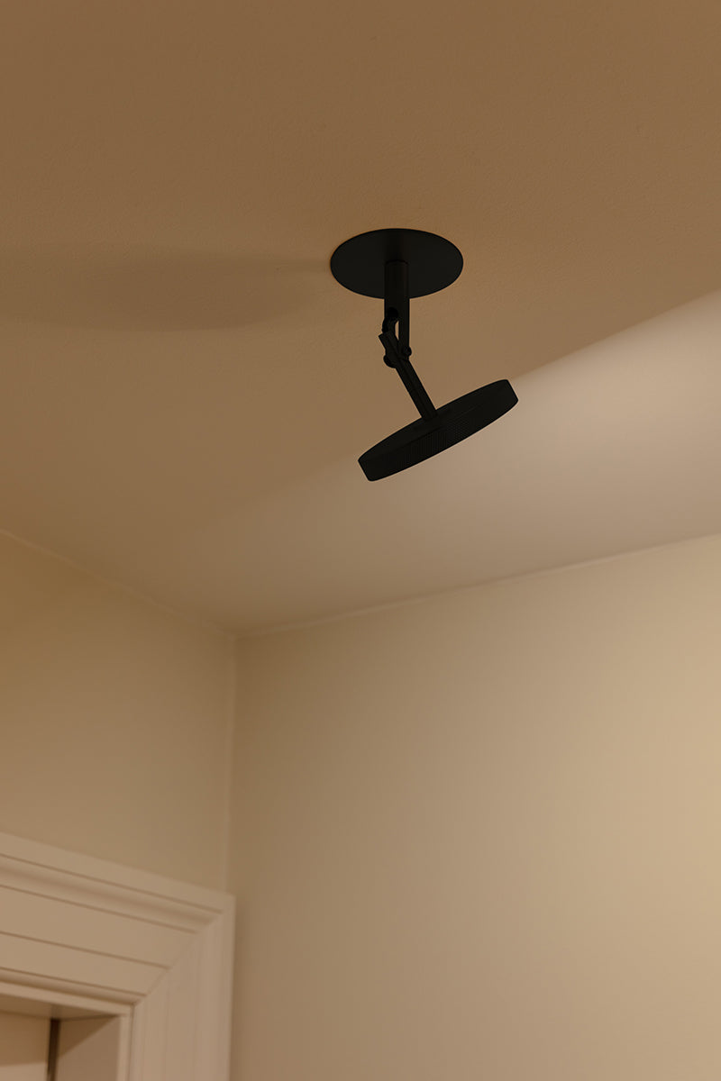 Asteria Spot Lamp