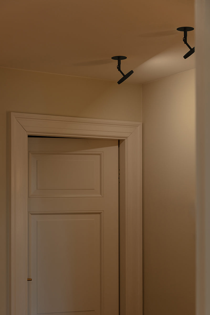Asteria Spot Lamp