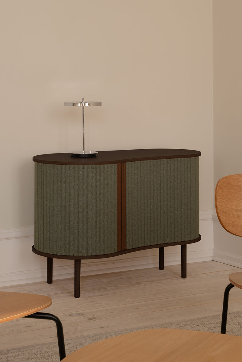 Audacious Horizons Cabinet