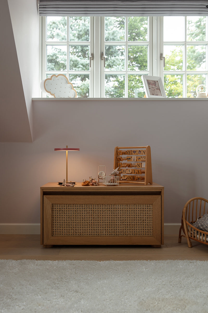 Hideaway Cane Door Storage Bench