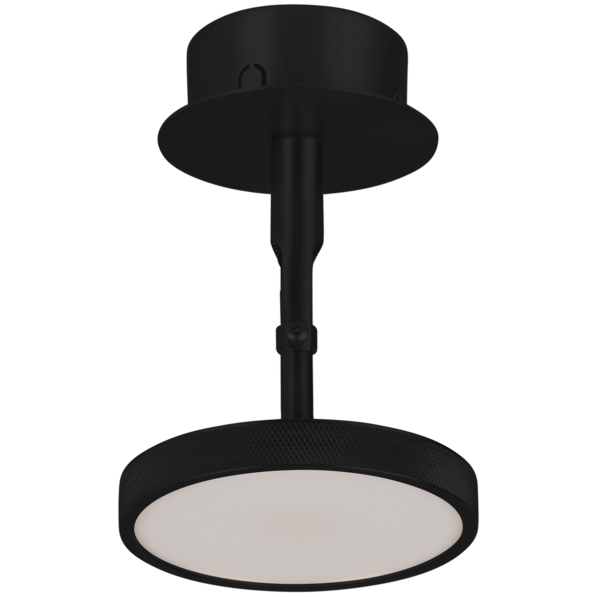 Asteria Spot Lamp