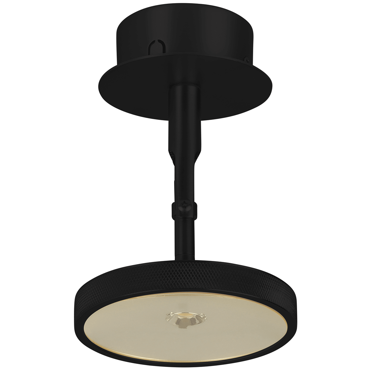 Asteria Spot Lamp