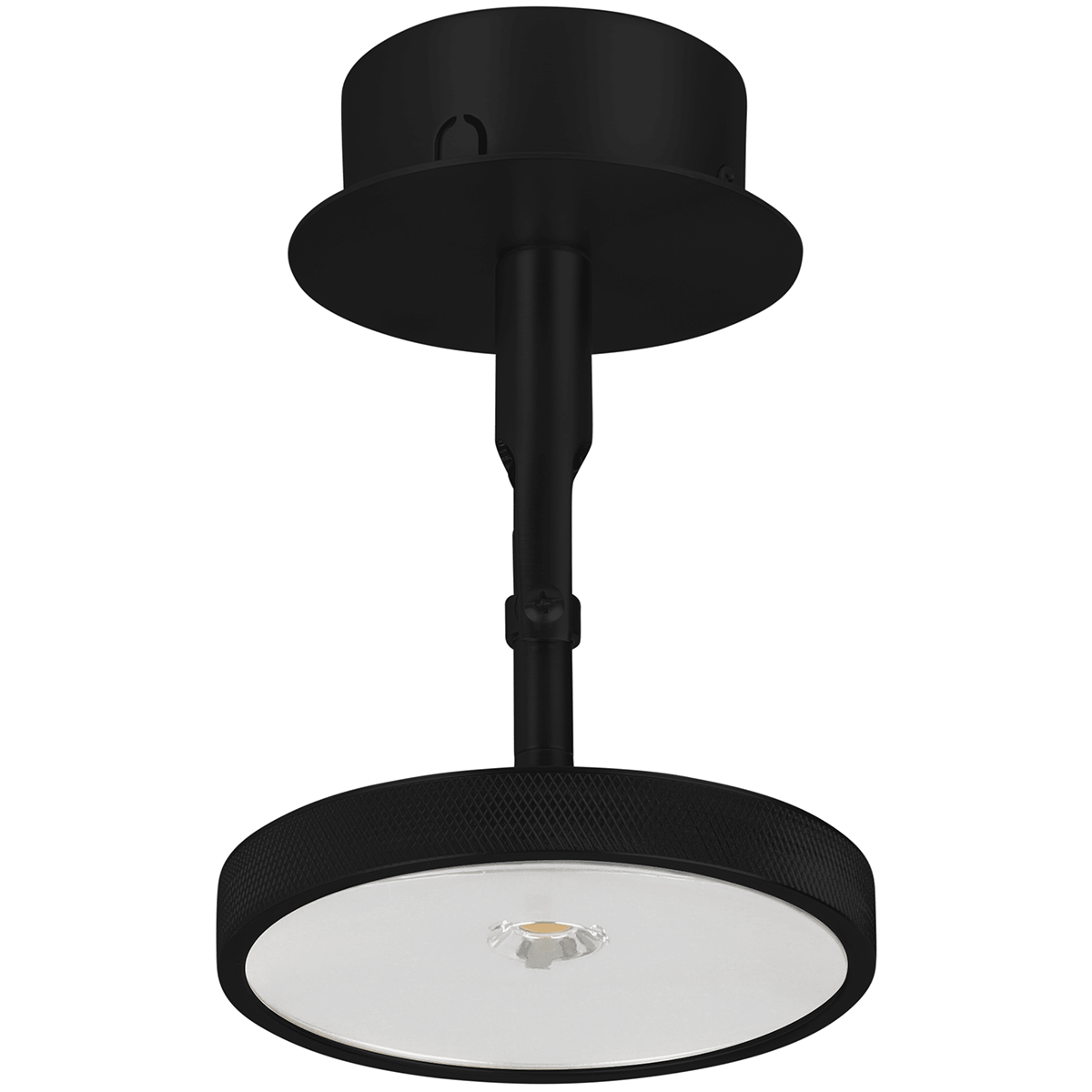 Asteria Spot Lamp