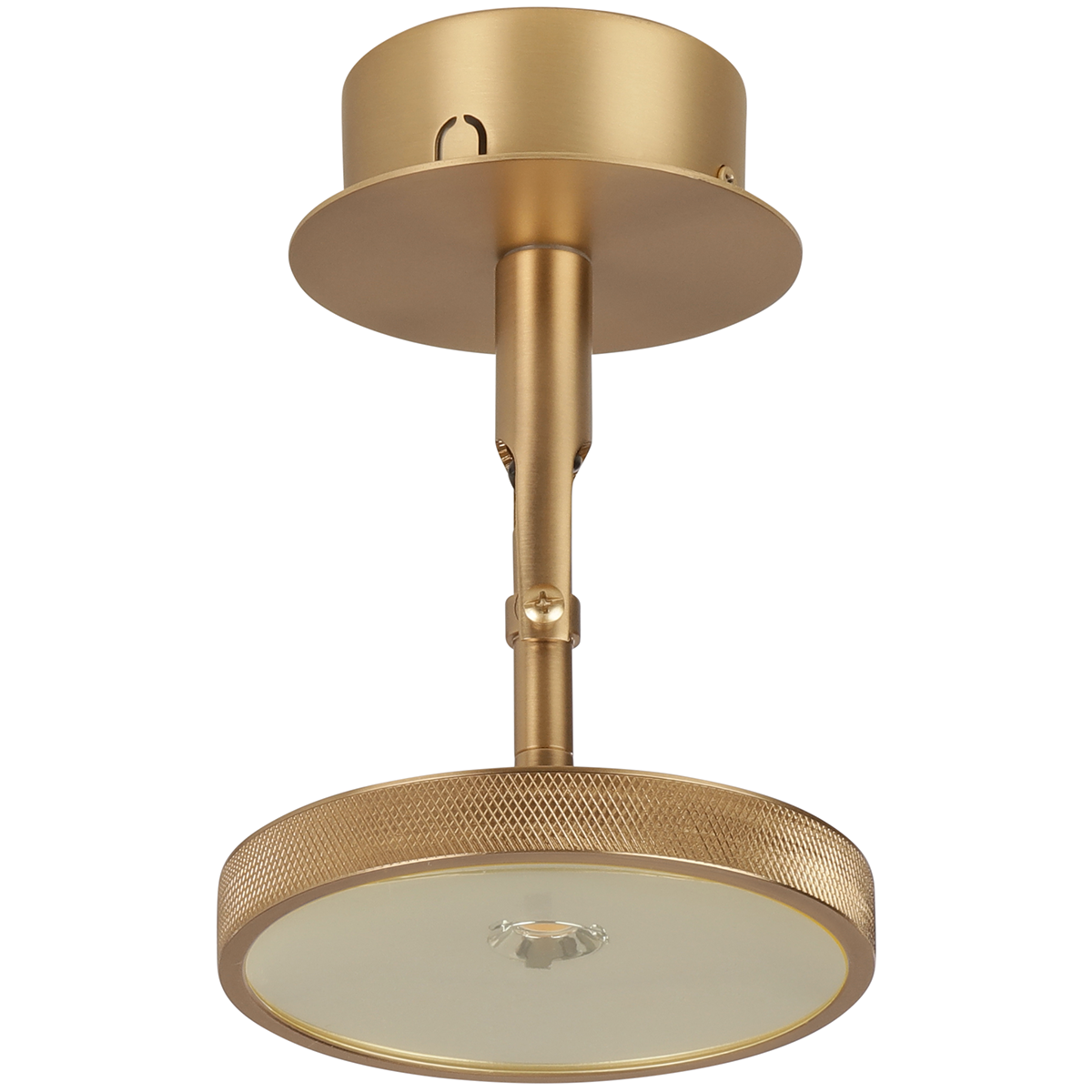 Asteria Spot Lamp - WOO .Design