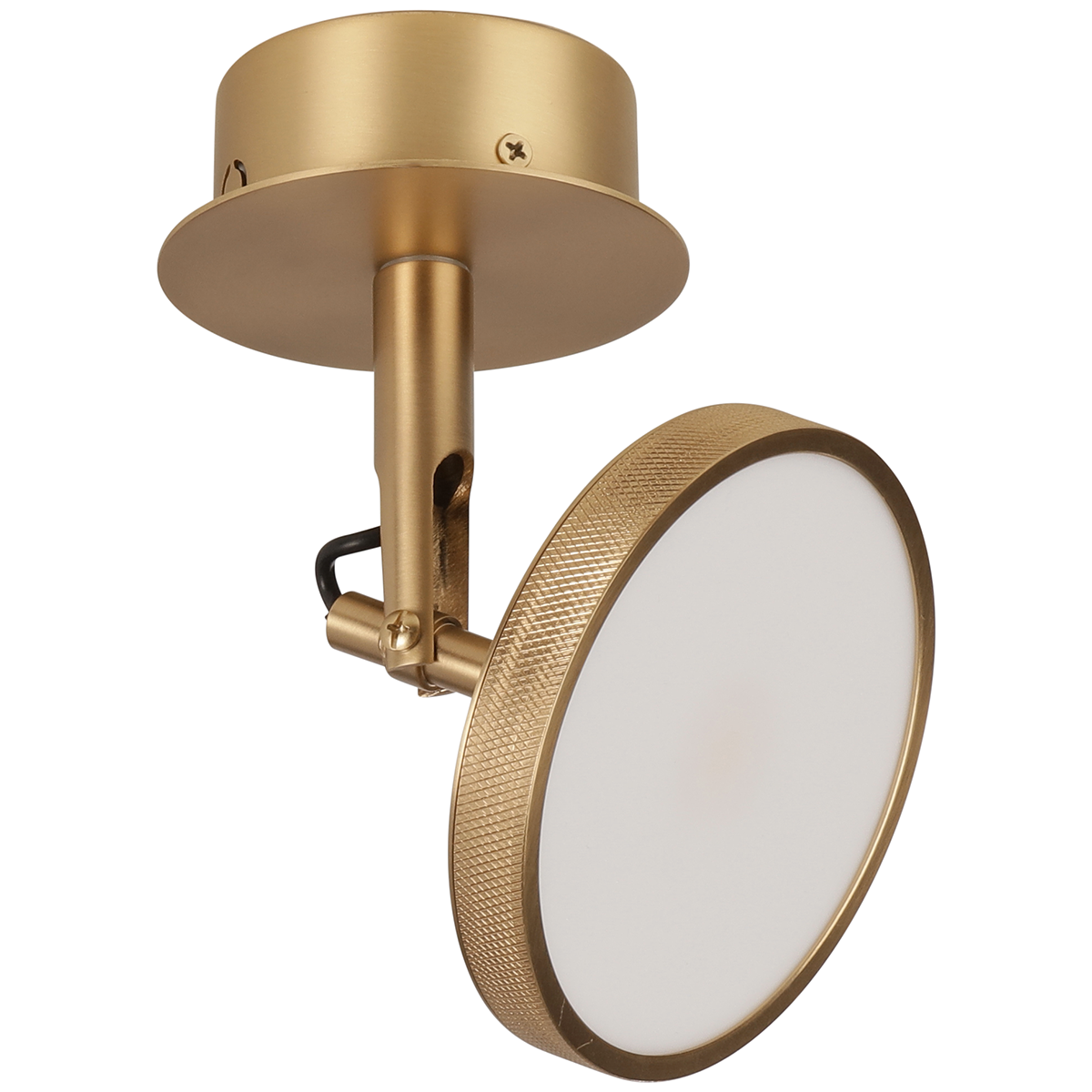Asteria Spot Lamp - WOO .Design