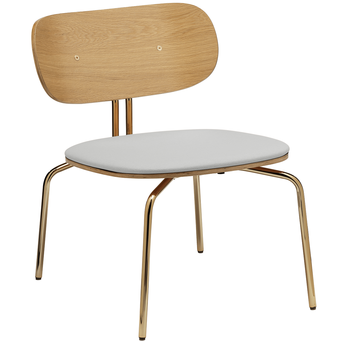 Curious Lounge Chair with Cushion