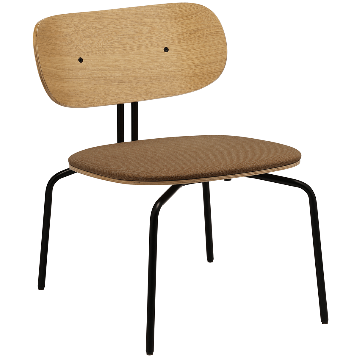 Curious Lounge Chair with Cushion