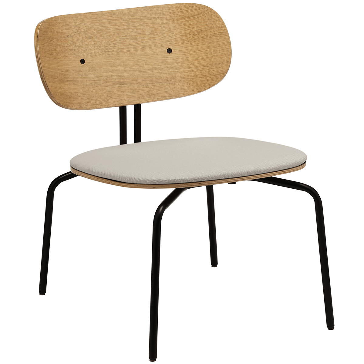 Curious Lounge Chair with Cushion
