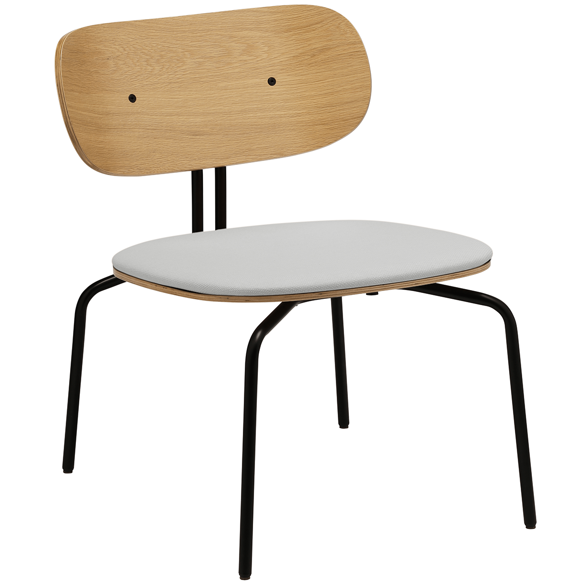 Curious Lounge Chair with Cushion
