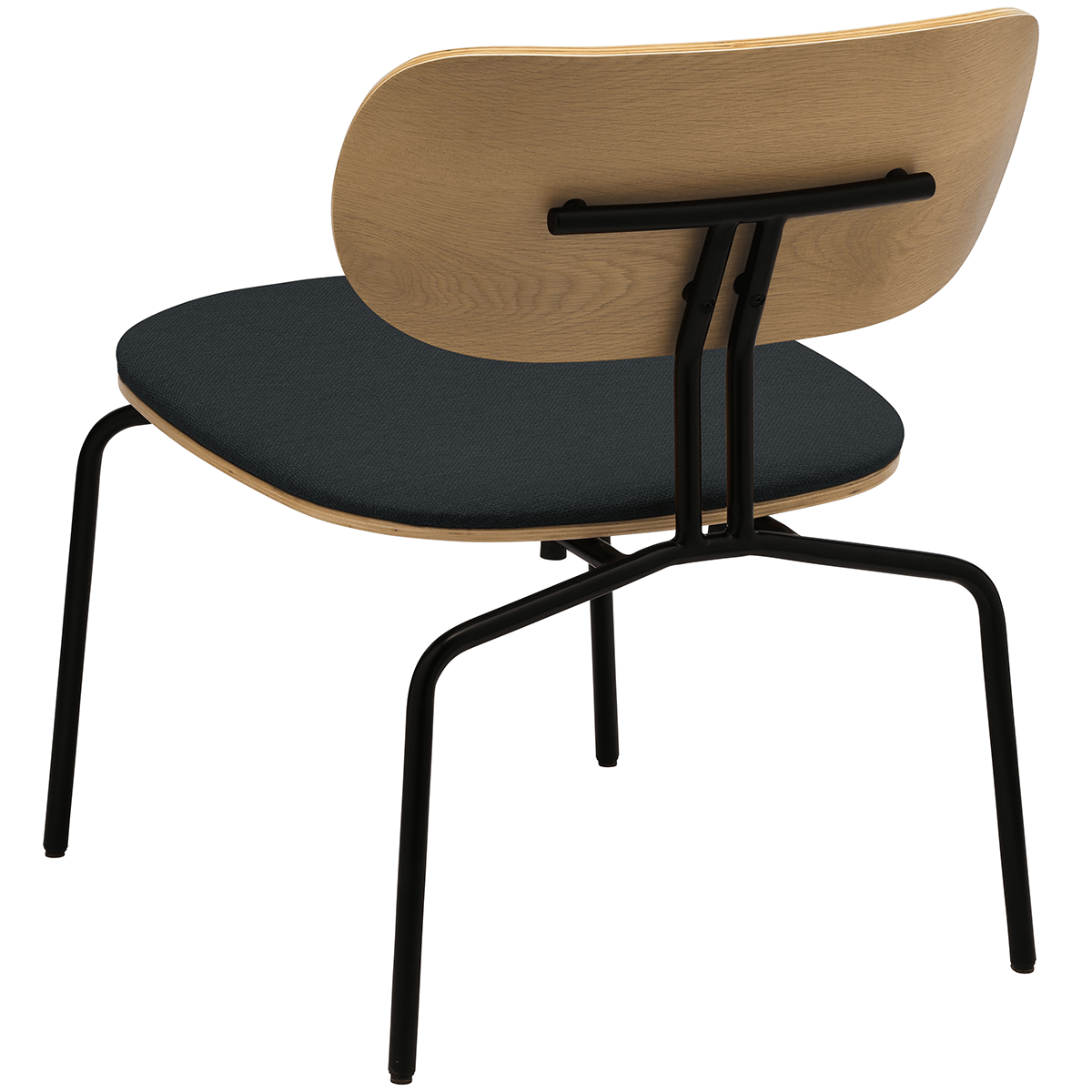 Curious Lounge Chair with Cushion