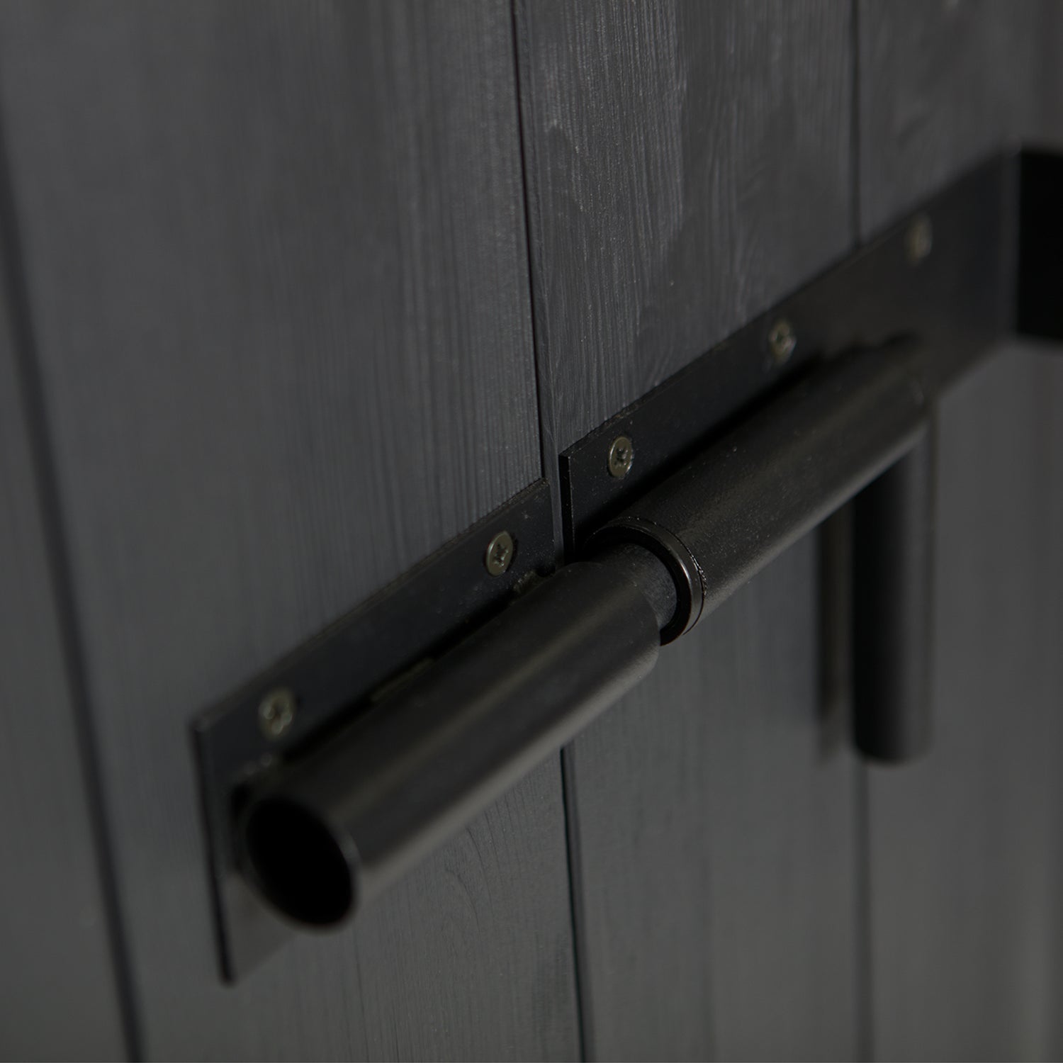 Bruut Black Pine Wood 2 Door Cabinet