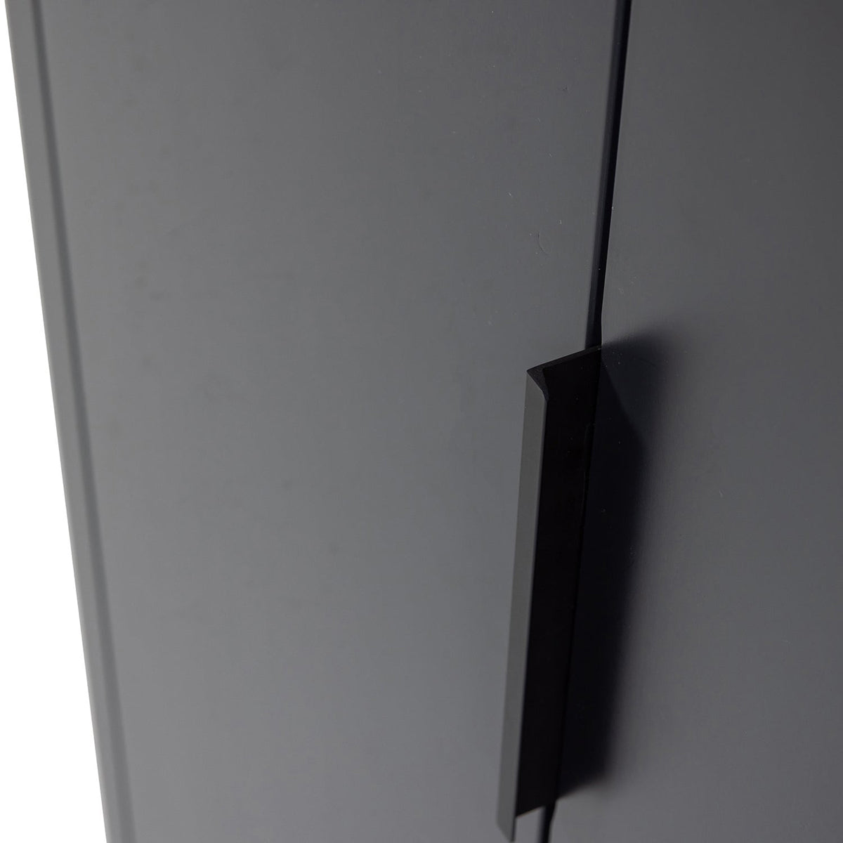 Gunnar 2 Doors Cabinet