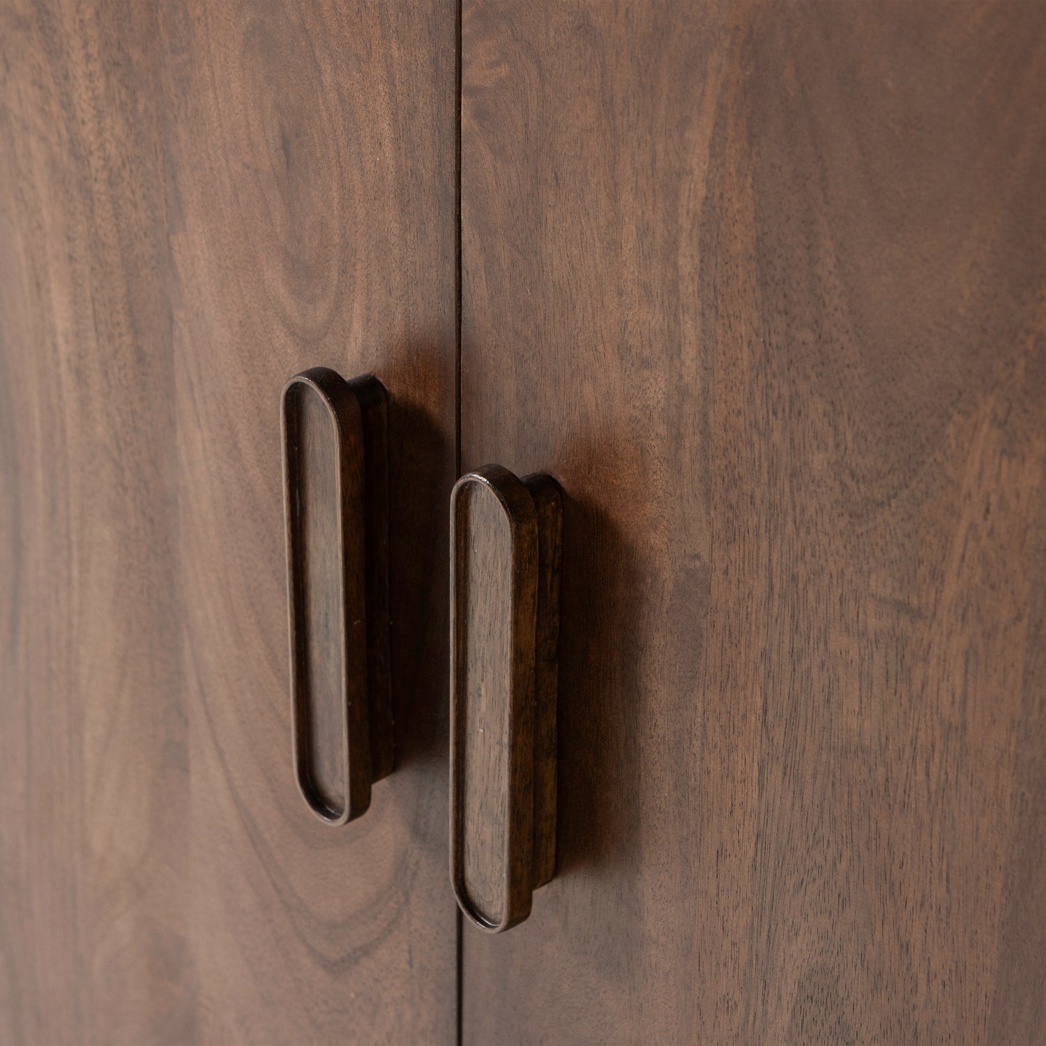 Liya Mango Wood 2 Doors Cabinet