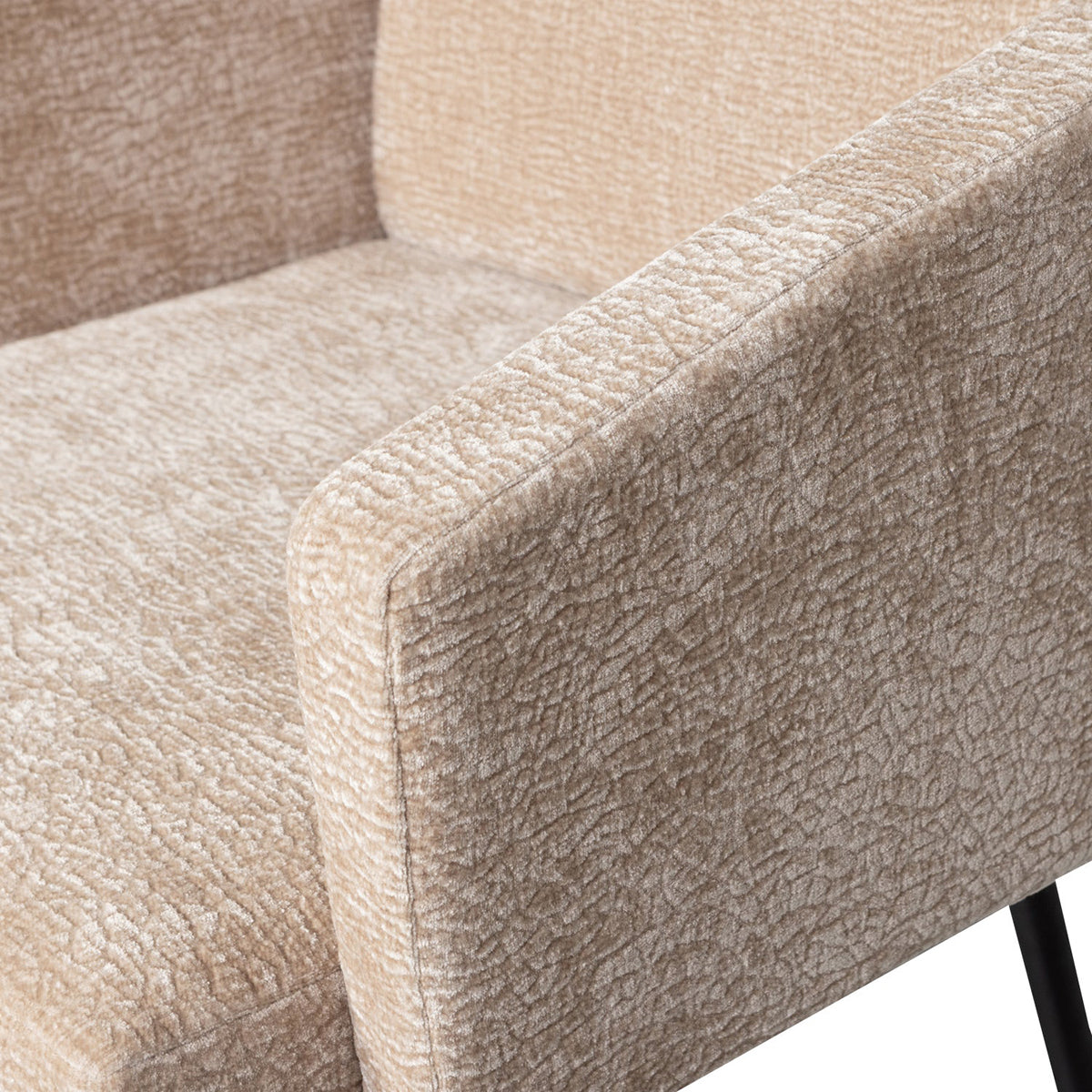 Mount Chenille Dining Chair with Armrest